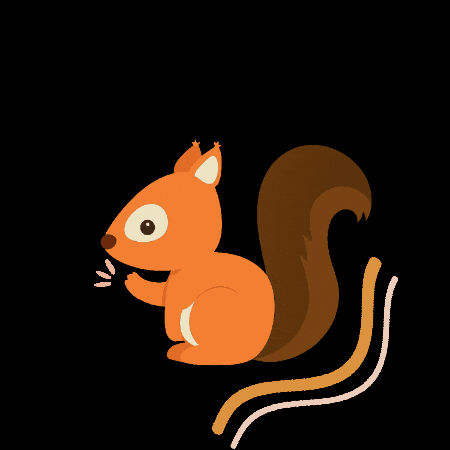 Naturpellet Ardilla Pellet GIF by Naturpellet