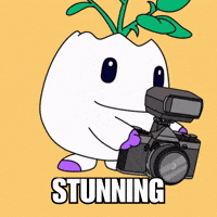 Click Blown Away GIF by Magic Eden