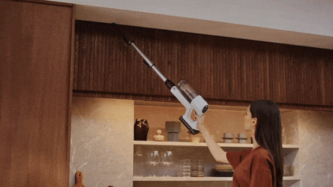 jadedlin giphyupload GIF