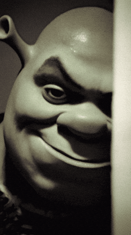 ailllliao smile look dark shrek GIF