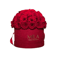 Sticker by MILA ROSES