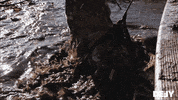 Swamp People Water GIF by DefyTV