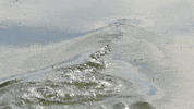 water sky GIF
