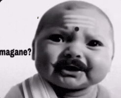 Sun Son GIF