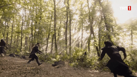 Dirilis Ertugrul Trt1 GIF by WASS Medya