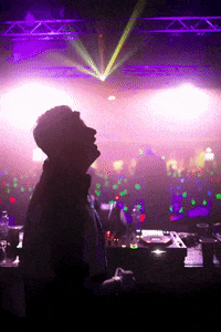 Party Dancing GIF by RGB Disco