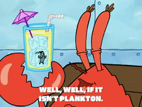 season 5 new digs GIF by SpongeBob SquarePants
