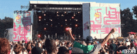 Deezer happy yeah festival jump GIF