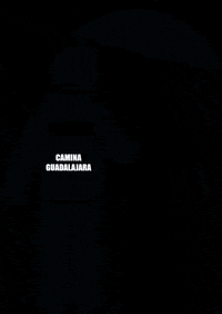 CaminaGDL guadalajara caminar caminagdl caminaguadalajara GIF
