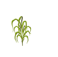 Campo Igrowth Sticker by Advanta Semillas Argentina