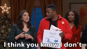 Snl GIF by Saturday Night Live
