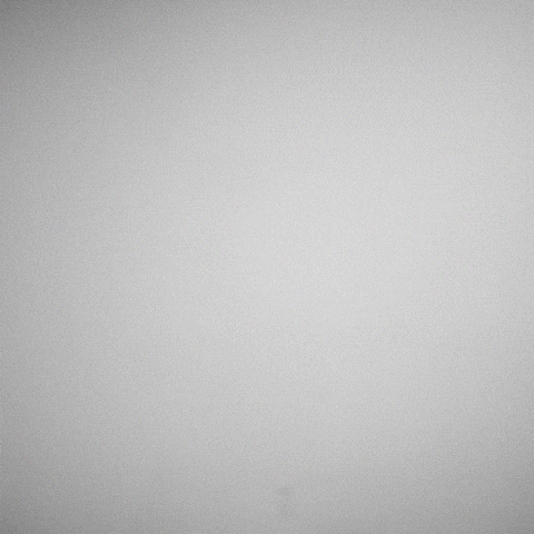 Pglang GIF by Calvin Klein