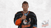 Awesome National Hockey League GIF by San Diego Gulls