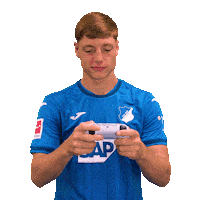 Sport Bundesliga Sticker by TSG Hoffenheim
