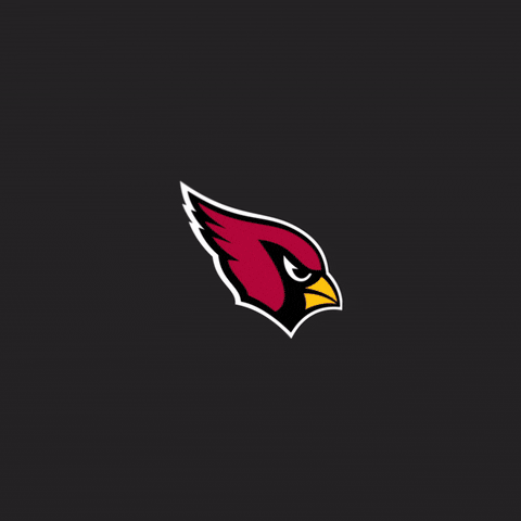 Red Sea Jordan GIF by Arizona Cardinals