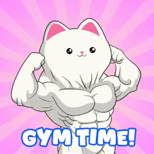 Cat GIF by Silly Kitties