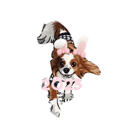 Dogs Smile Sticker