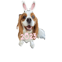 Dogs Love Sticker