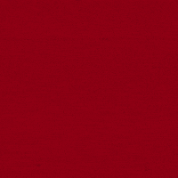 Go Cards Birdie GIF by Louisville Cardinals