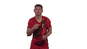 Red Devils Belgium Sticker by Royal Belgian FA