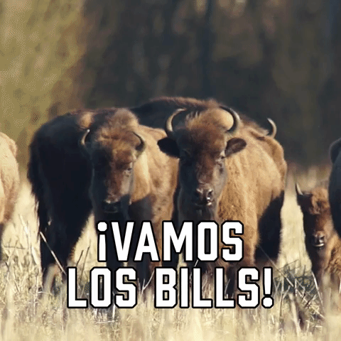 ยกVamos Los Bills!