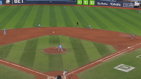 Blue Jays Baseball GIF by Toronto Blue Jays