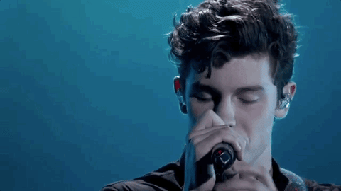 shawn mendes 2018 bbmas GIF by Billboard Music Awards