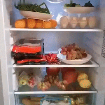 Fannab giphygifmaker GIF