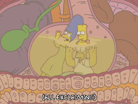 homer simpson episode 13 GIF