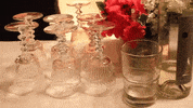 prawn GIF by Topshelf Records