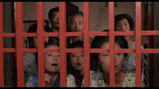 Let Me Look Over There GIF by Arrow Academy
