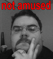 amused home video GIF