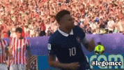 France Celebration GIF