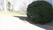 House Sidewalk GIF by JC Property Professionals