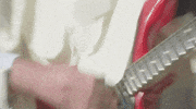 people-vultures GIF by King Gizzard & The Lizard Wizard