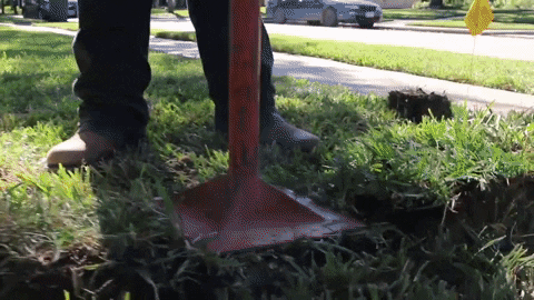 femagreenexpert giphyupload GIF