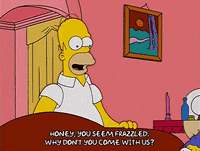 homer simpson GIF