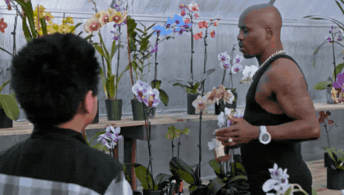Fresh Off The Boat Flowers GIF