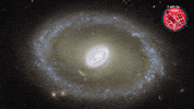 Eye Looking GIF by ESA/Hubble Space Telescope