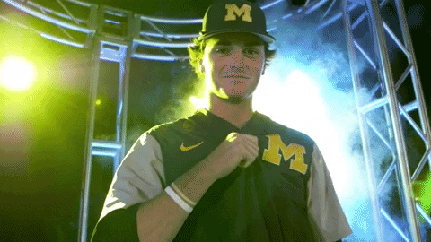 GIF by Michigan Athletics