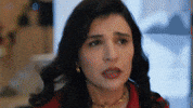 Now Tv Leyla GIF by Ay Yapım