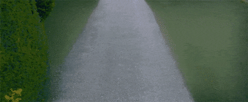 GIF by Downton Abbey