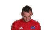 Look Up Hamburger Sv Sticker by Bundesliga