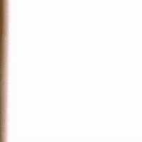 VoltzBrasil moto fake stamp mito GIF