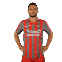 Serie B Football Sticker by Pro Cremona