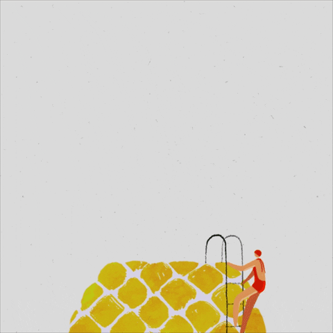 formplaystudio giphyupload GIF