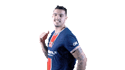 Proud France Sticker by Paris Saint-Germain Handball