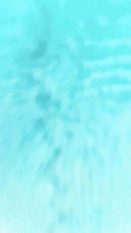 Videogame GIF by Youtooz