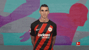 Eintracht Frankfurt Football GIF by Bundesliga