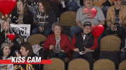 GIF by Milwaukee Admirals